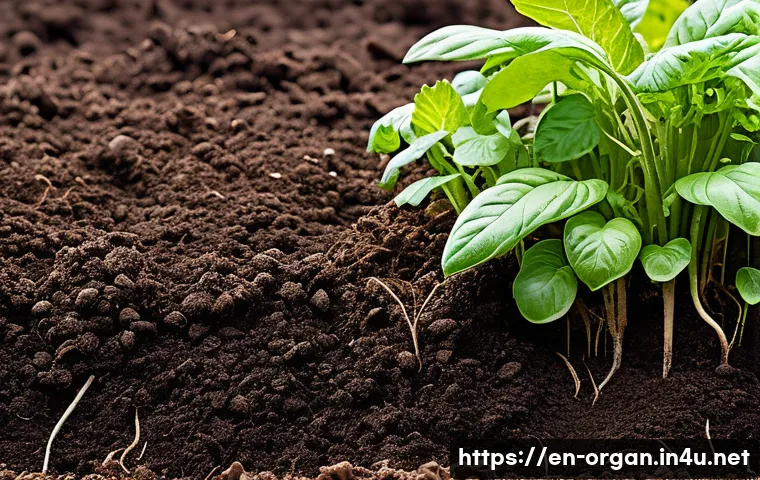 유기농업 자격증 시험 기출문제 - A vibrant organic farm soil cross-section showing rich, dark soil teeming with diverse microorganism...